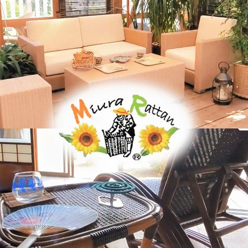 特集:夏をラタンと楽しむ