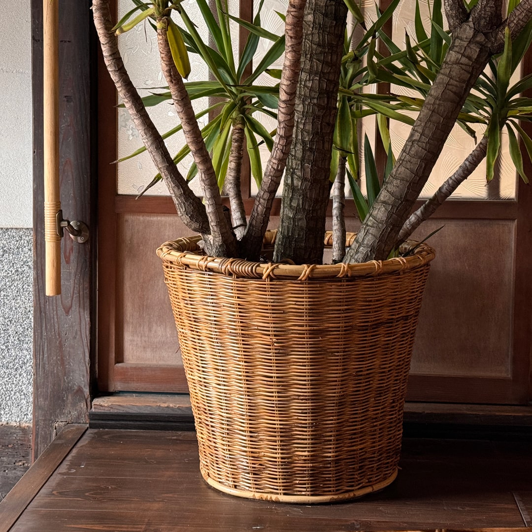 ラタンプランター｜PL-052 | 籐家具職人の店みうらラタン