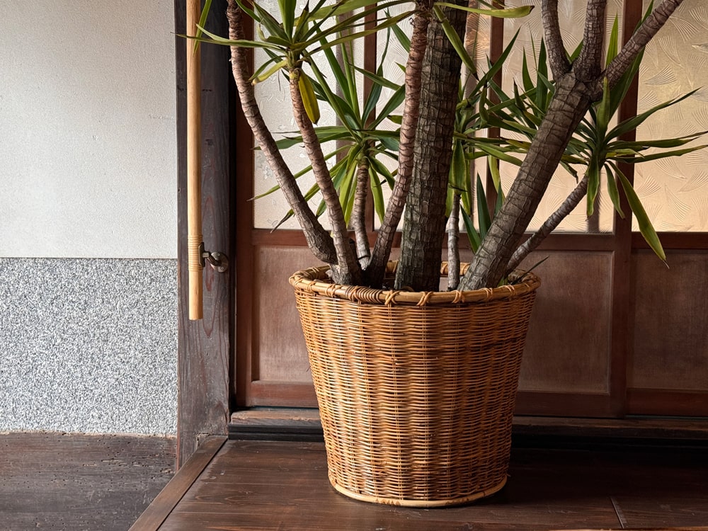 ラタンプランター｜PL-052 | 籐家具職人の店みうらラタン